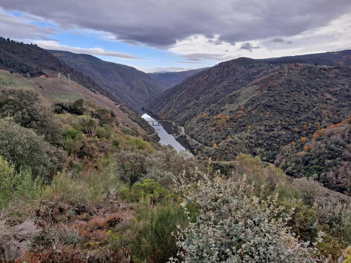 Pensión Armada Sacra A Teixeira Ourense